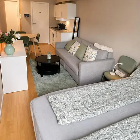 For 4 Appartement Trondheim